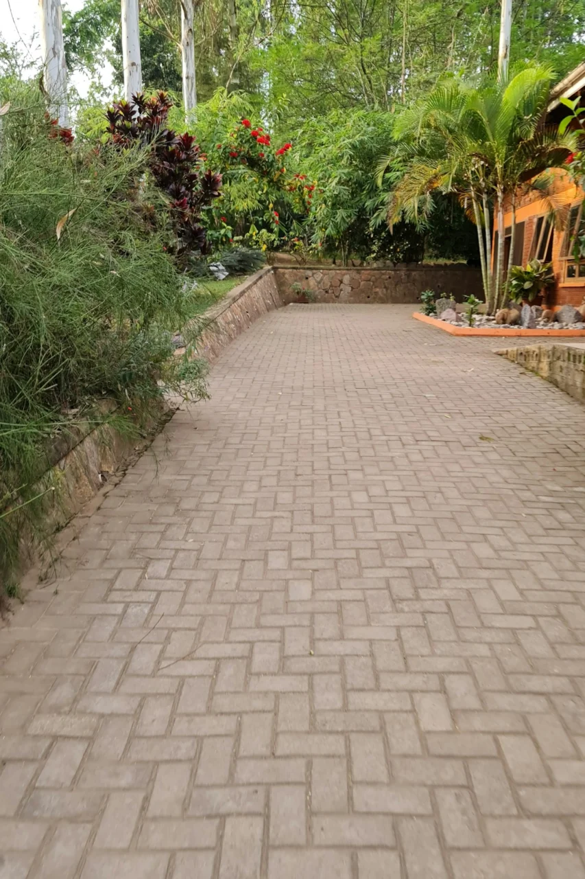 a brick walkway surrounded by trees and plants