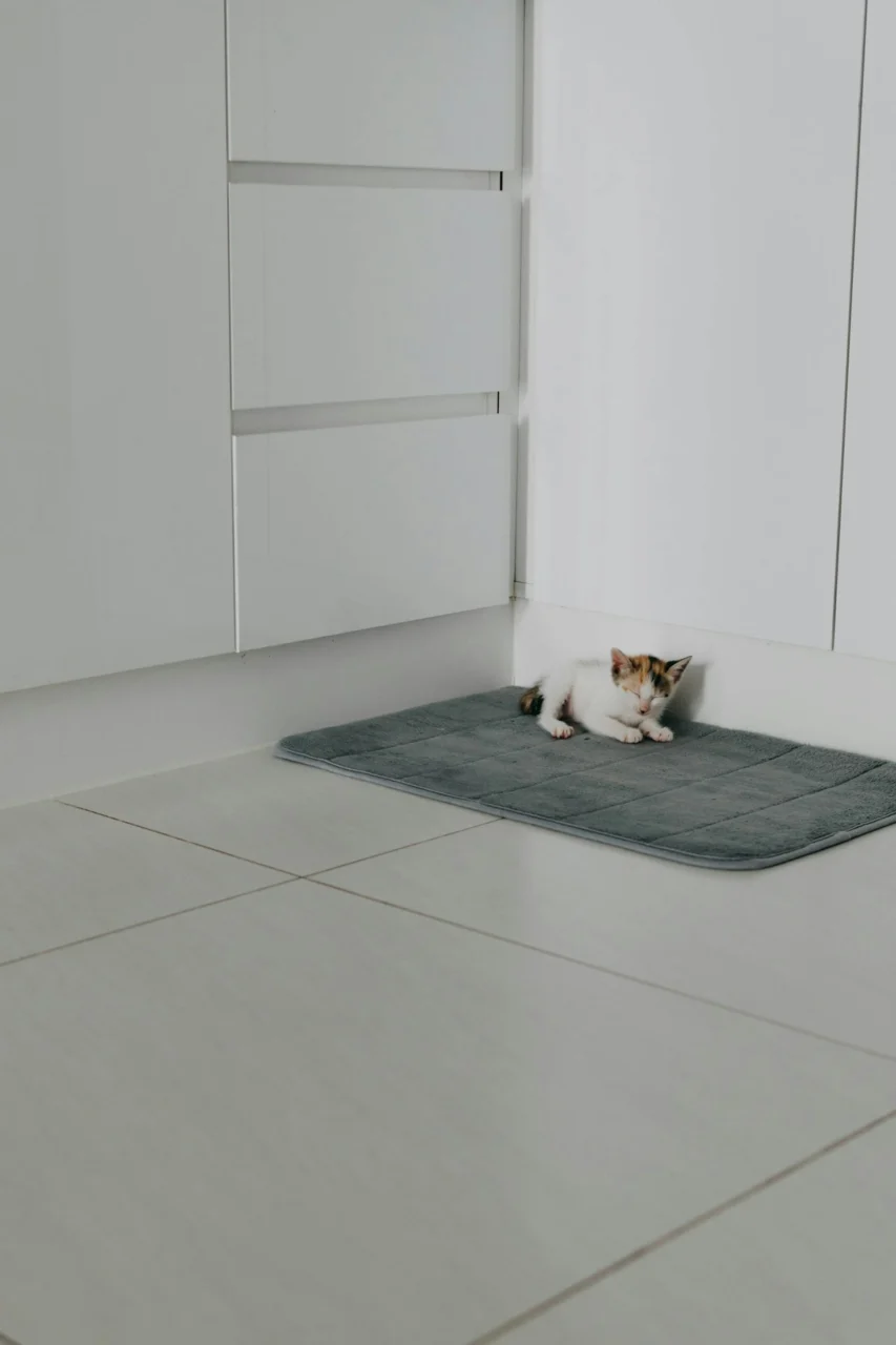 a cat laying on a mat in a room