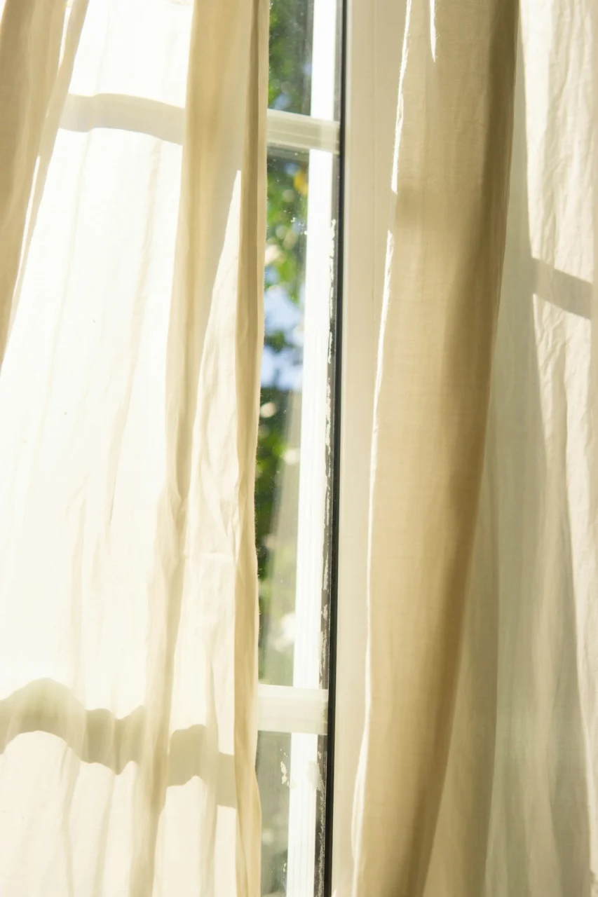 a cat sitting on a window sill in front of a curtain
