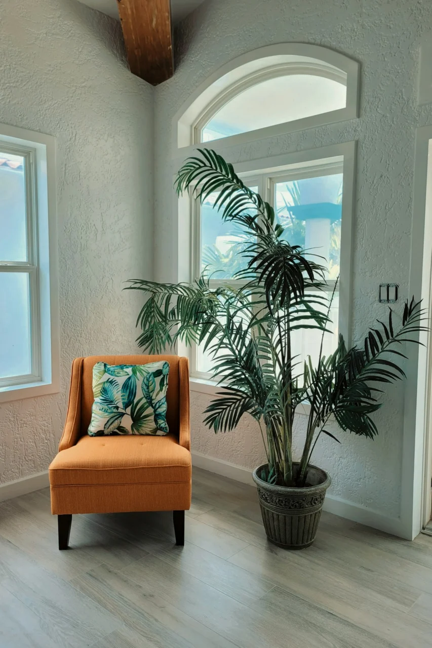 a chair and a plant in a room