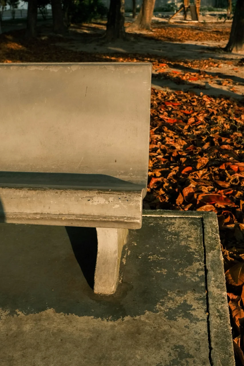 A concrete bench on a paved surface beside fallen autumn leaves
