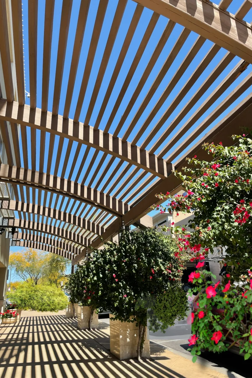 a covered patio with potted plants