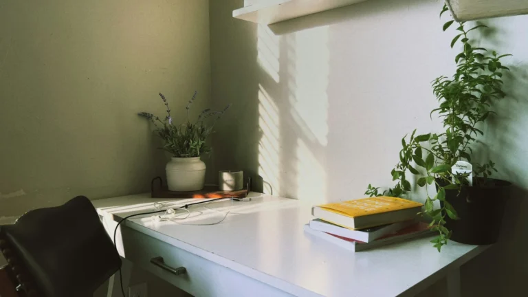 a desk with a plant and a book on it