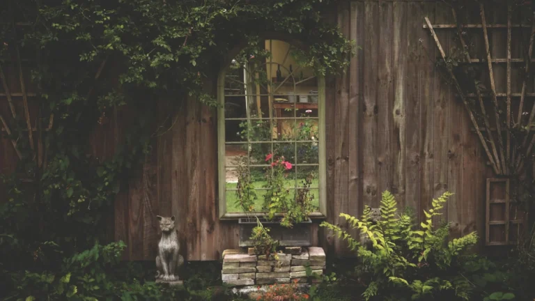 a dog standing in front of a window in a garden