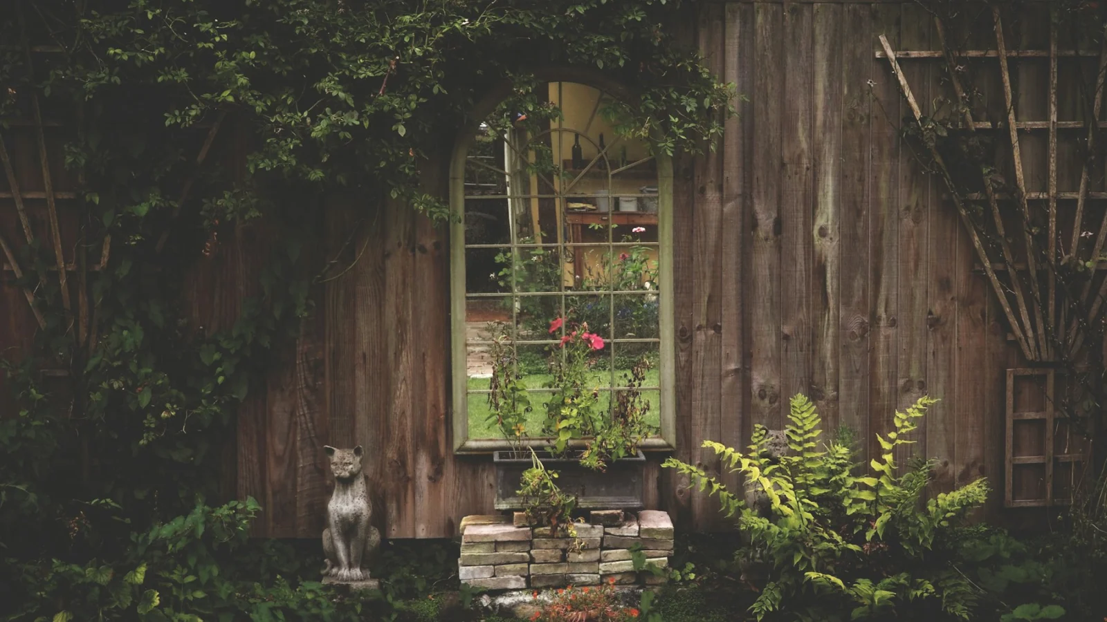 a dog standing in front of a window in a garden