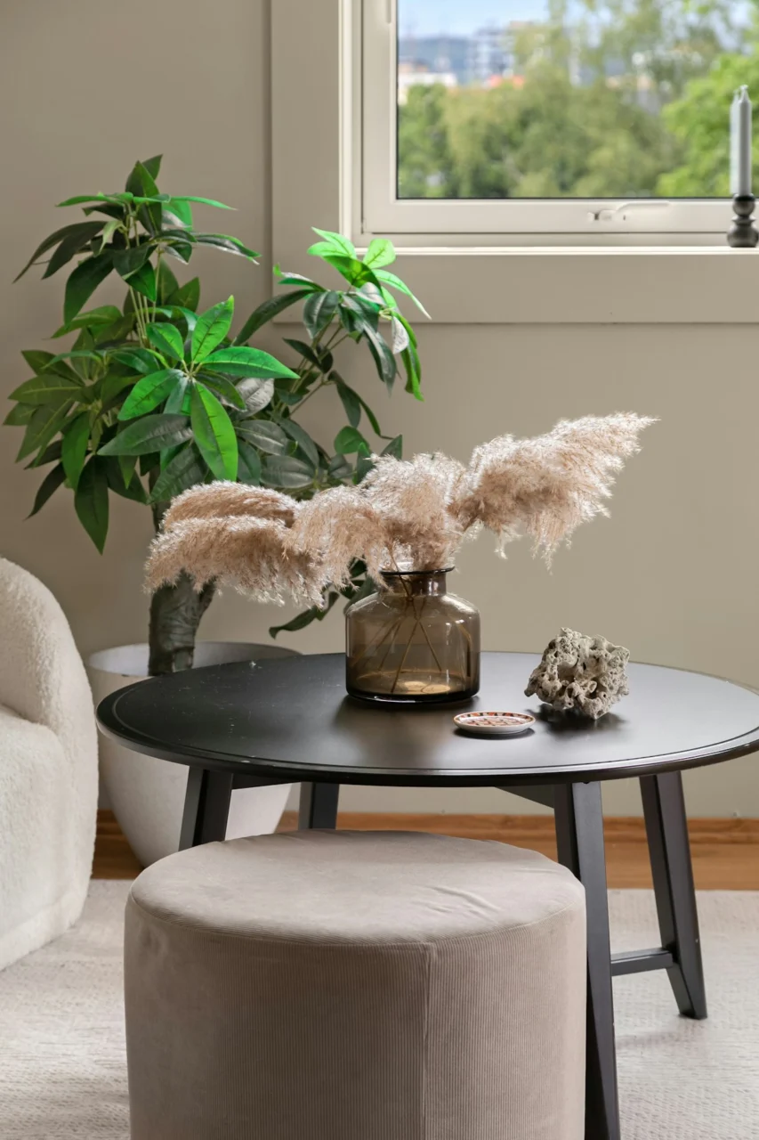 A living room with a round table and a plant