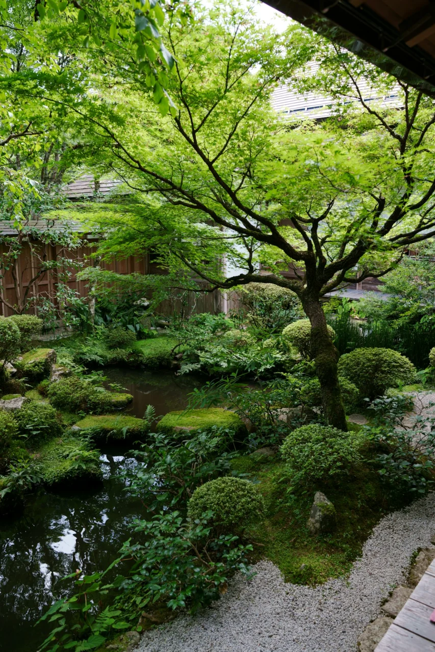 A lush green japanese garden with a pond and tree