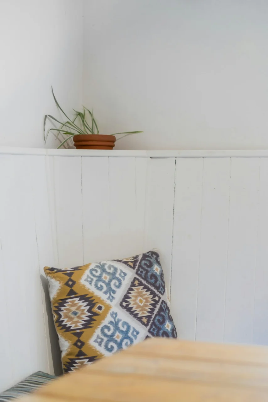 a plant on a shelf