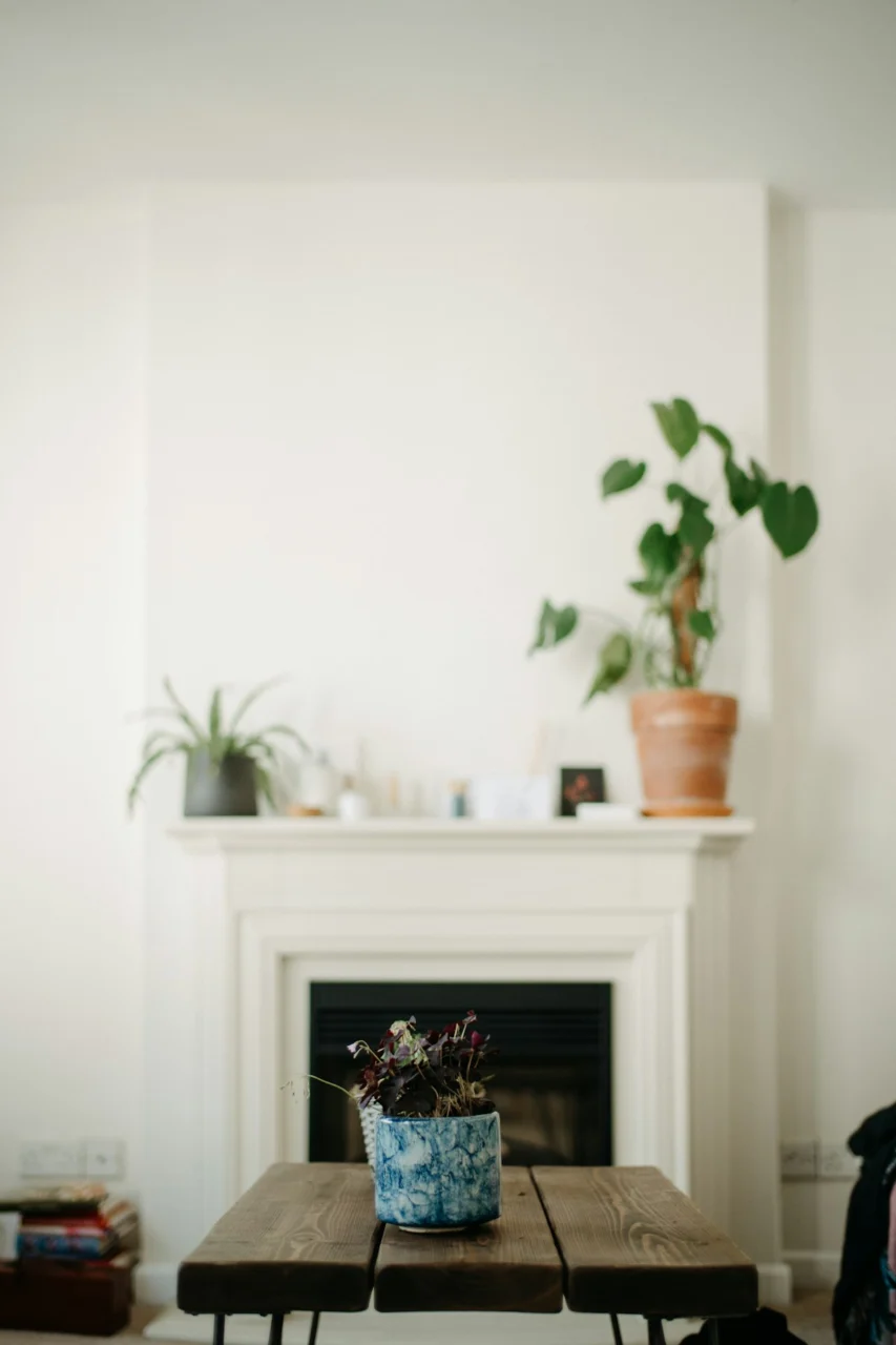 a table with a potted plant on top of it