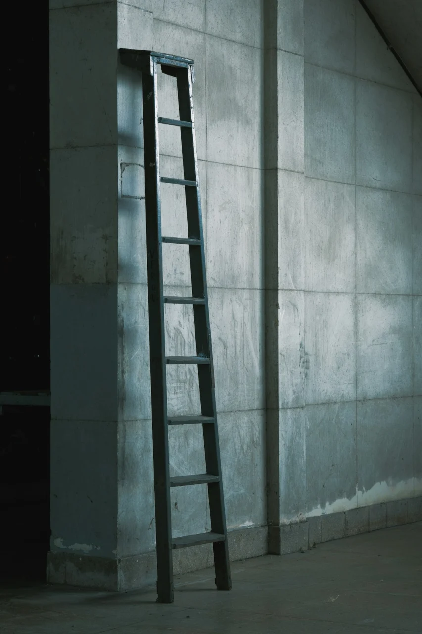A tall ladder leans against a concrete wall