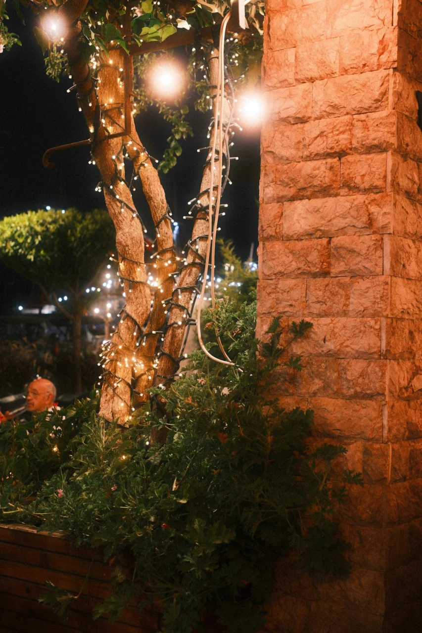A tree trunk wrapped in fairy lights beside a textured stone wall at night