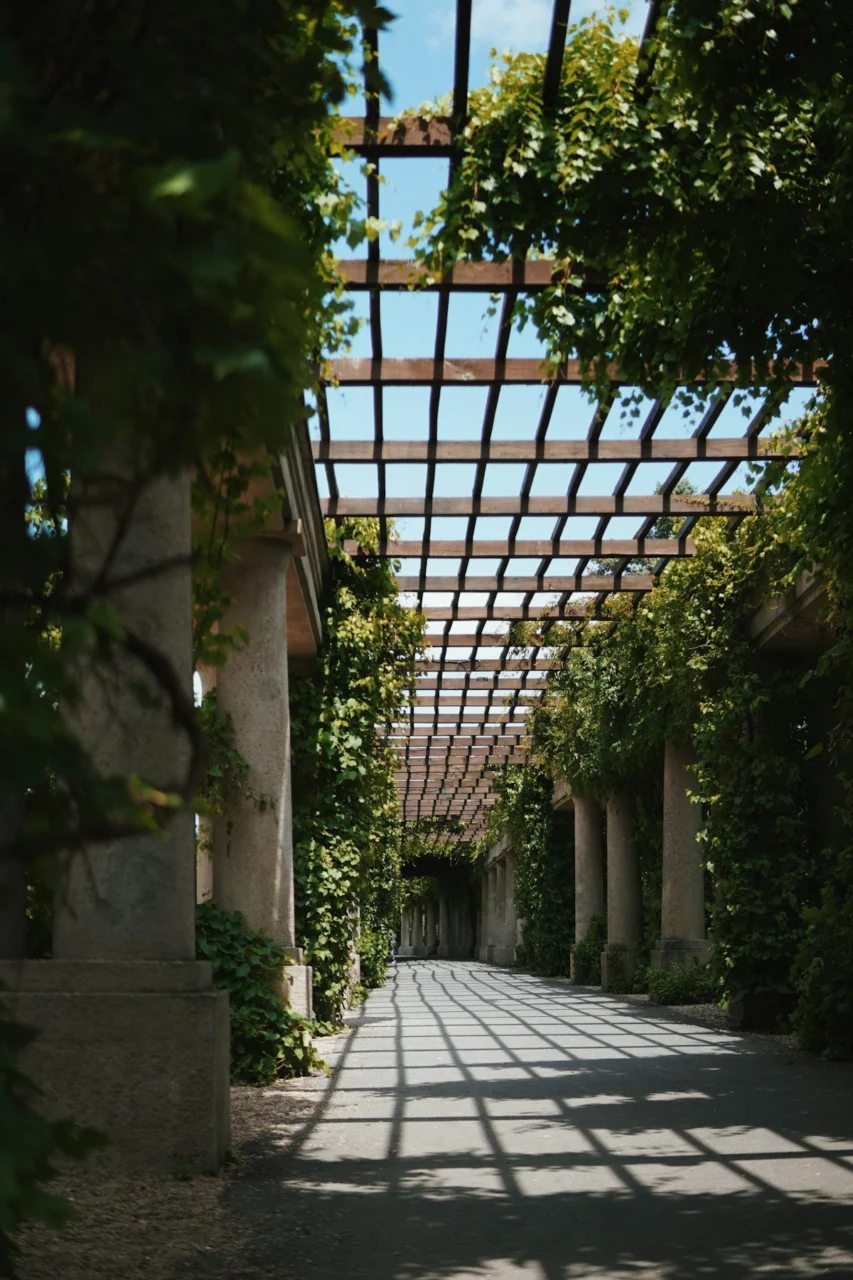a walkway with a pergolated roof over it