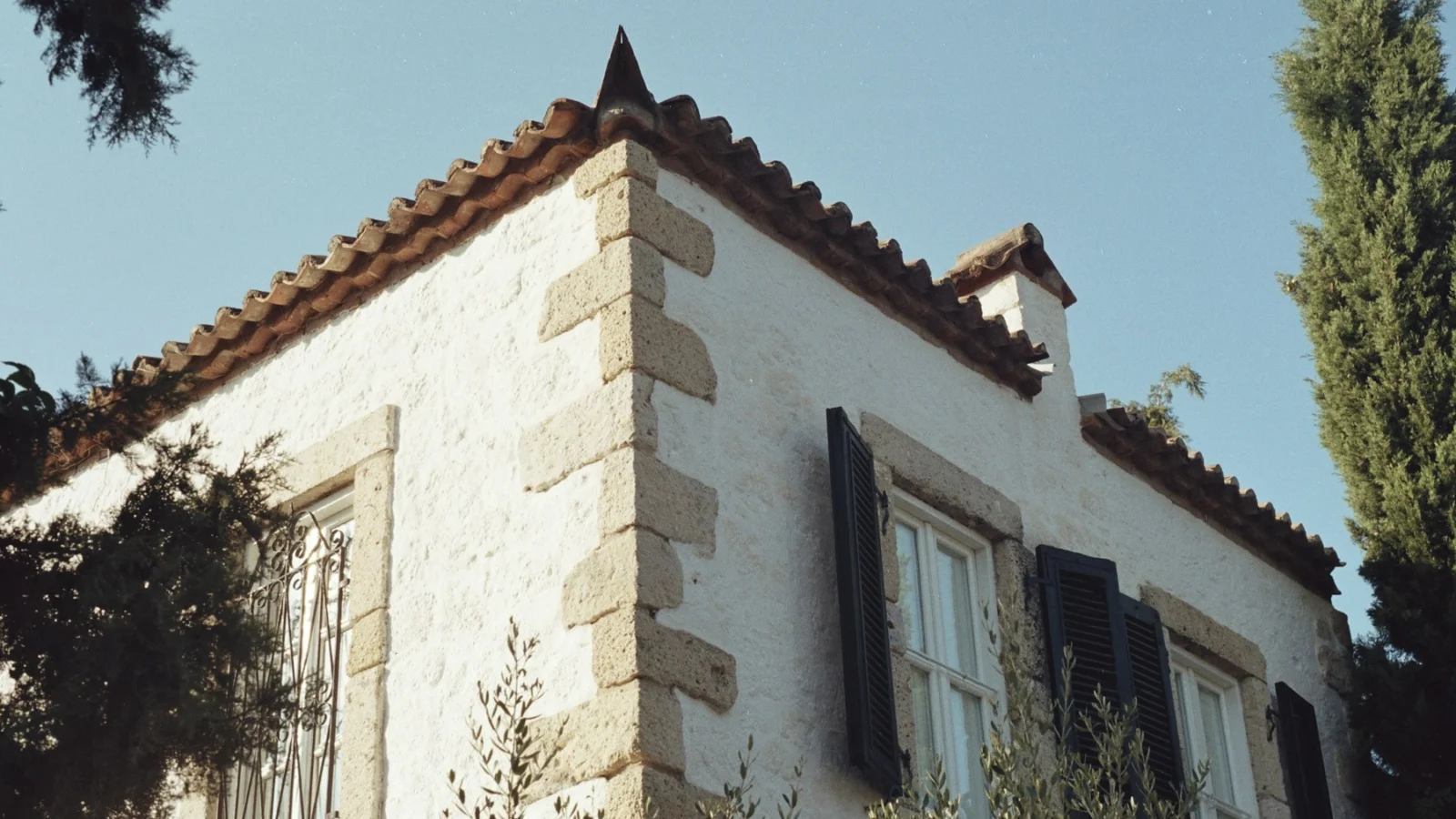 a white building with black shutters and a tree