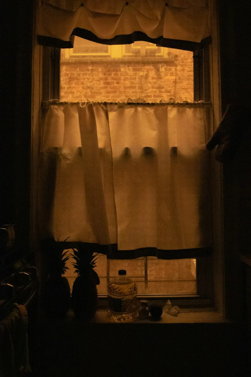 a window with a curtain and a potted plant in front of it