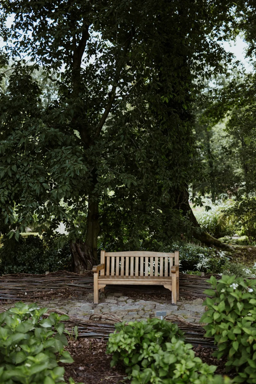 A wooden bench sitting in the middle of a forest
