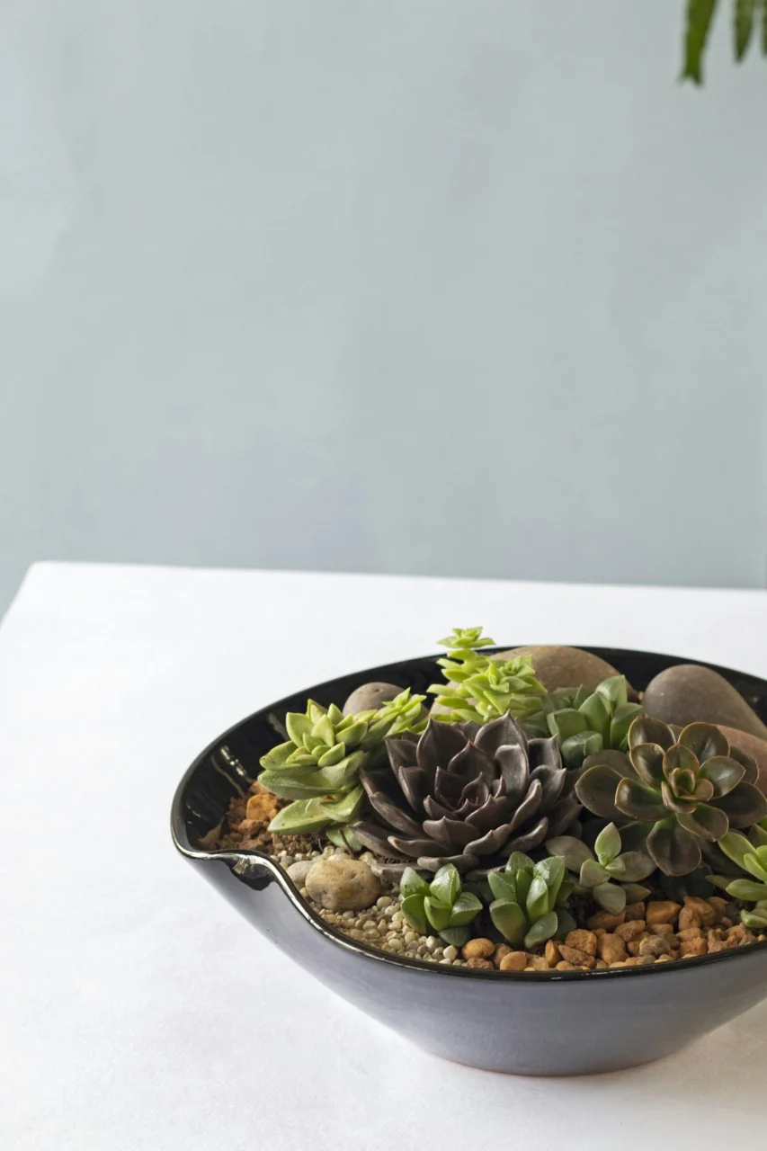 brown and green vegetable dish on black ceramic plate