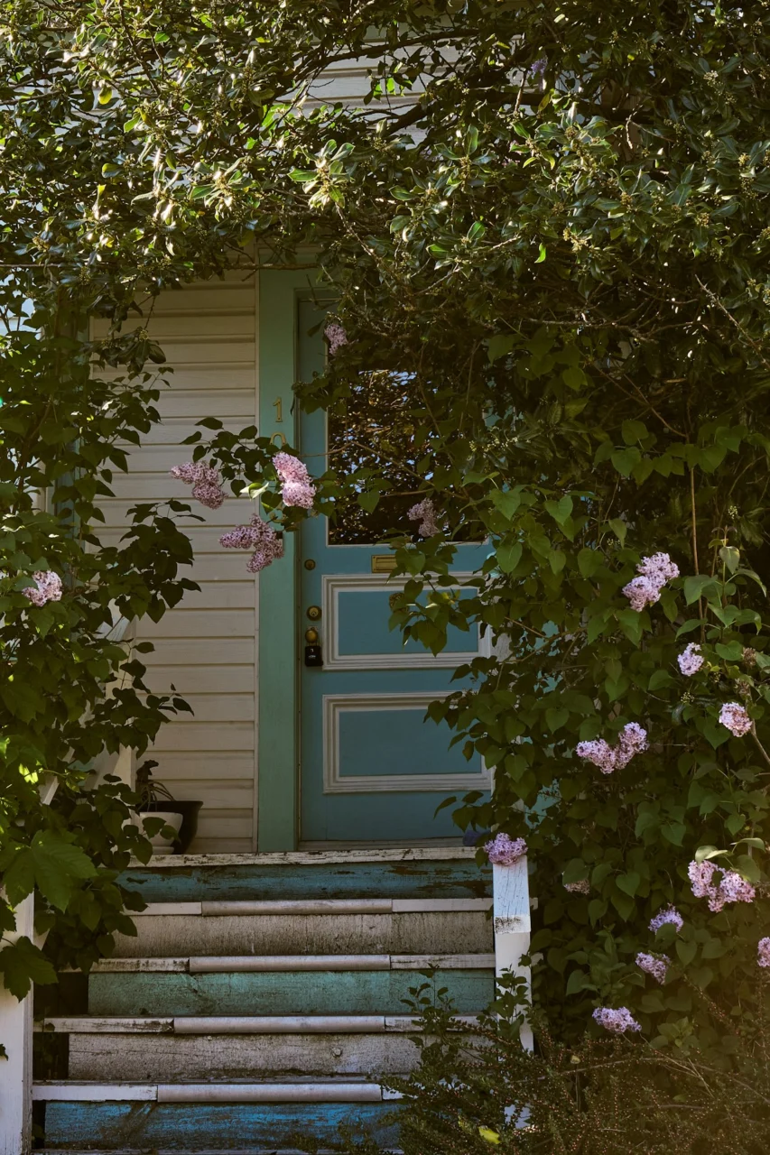 Charming blue door with worn steps and pink flowers