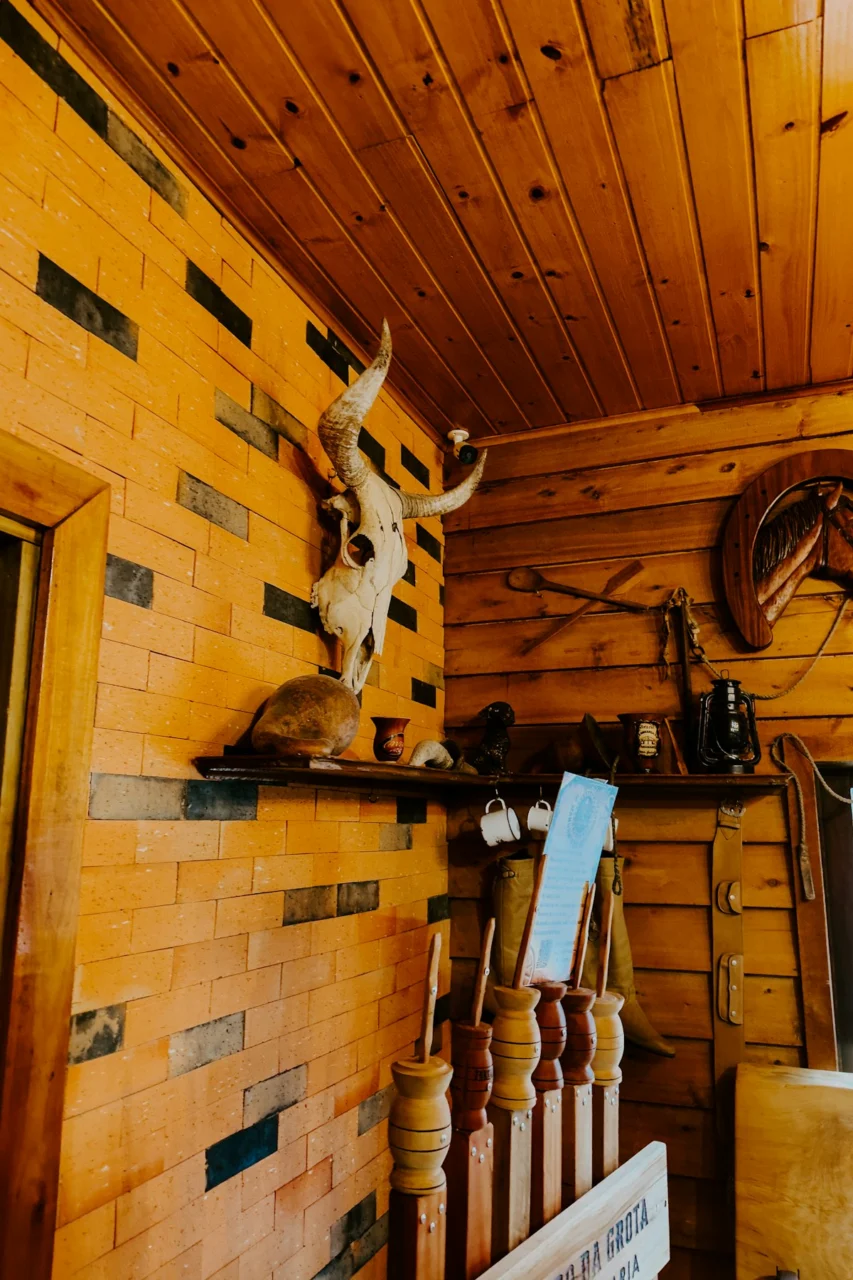 Cow skull and rustic decor on wooden wall