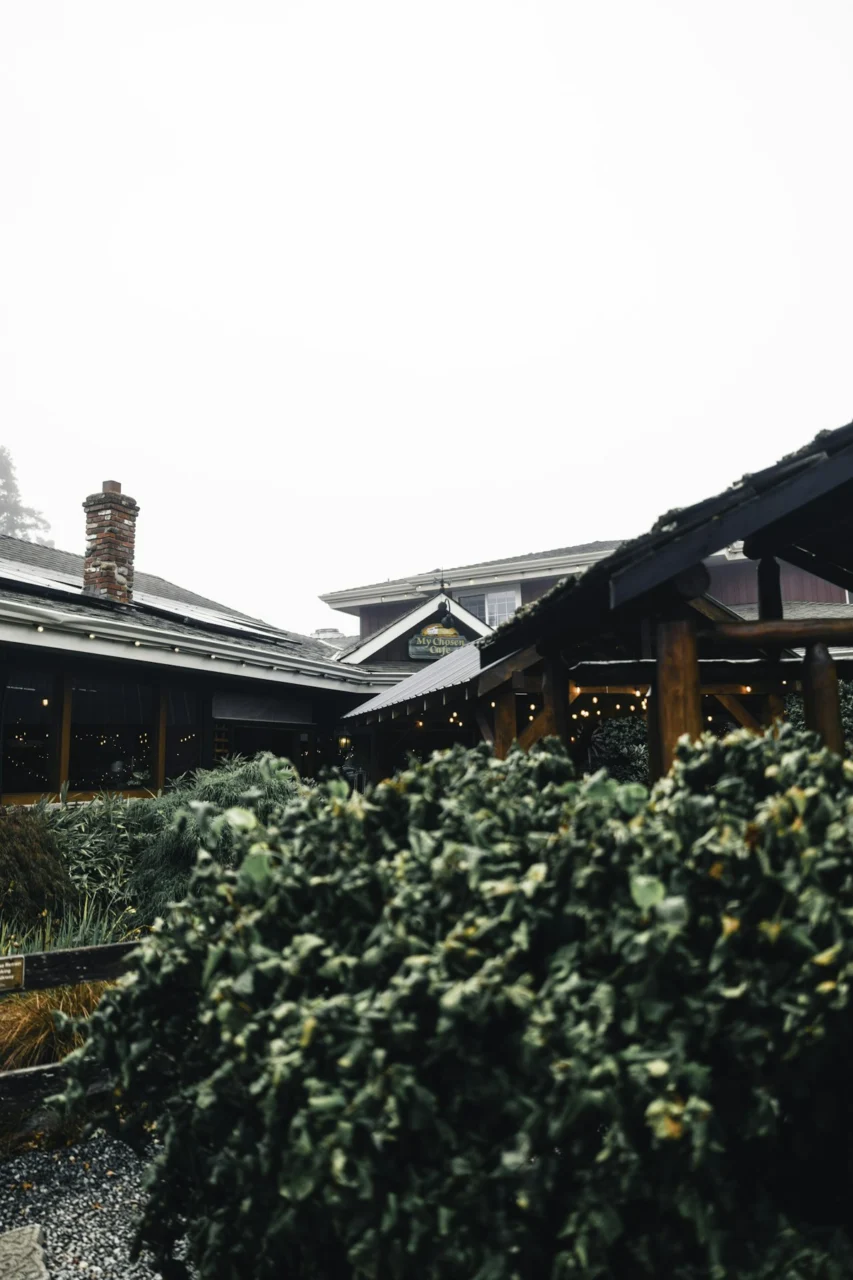 Cozy building with outdoor lights and greenery