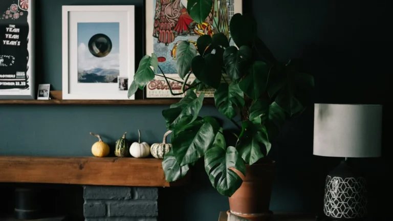 green plant on brown clay pot
