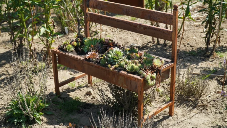 green plant on brown wooden table