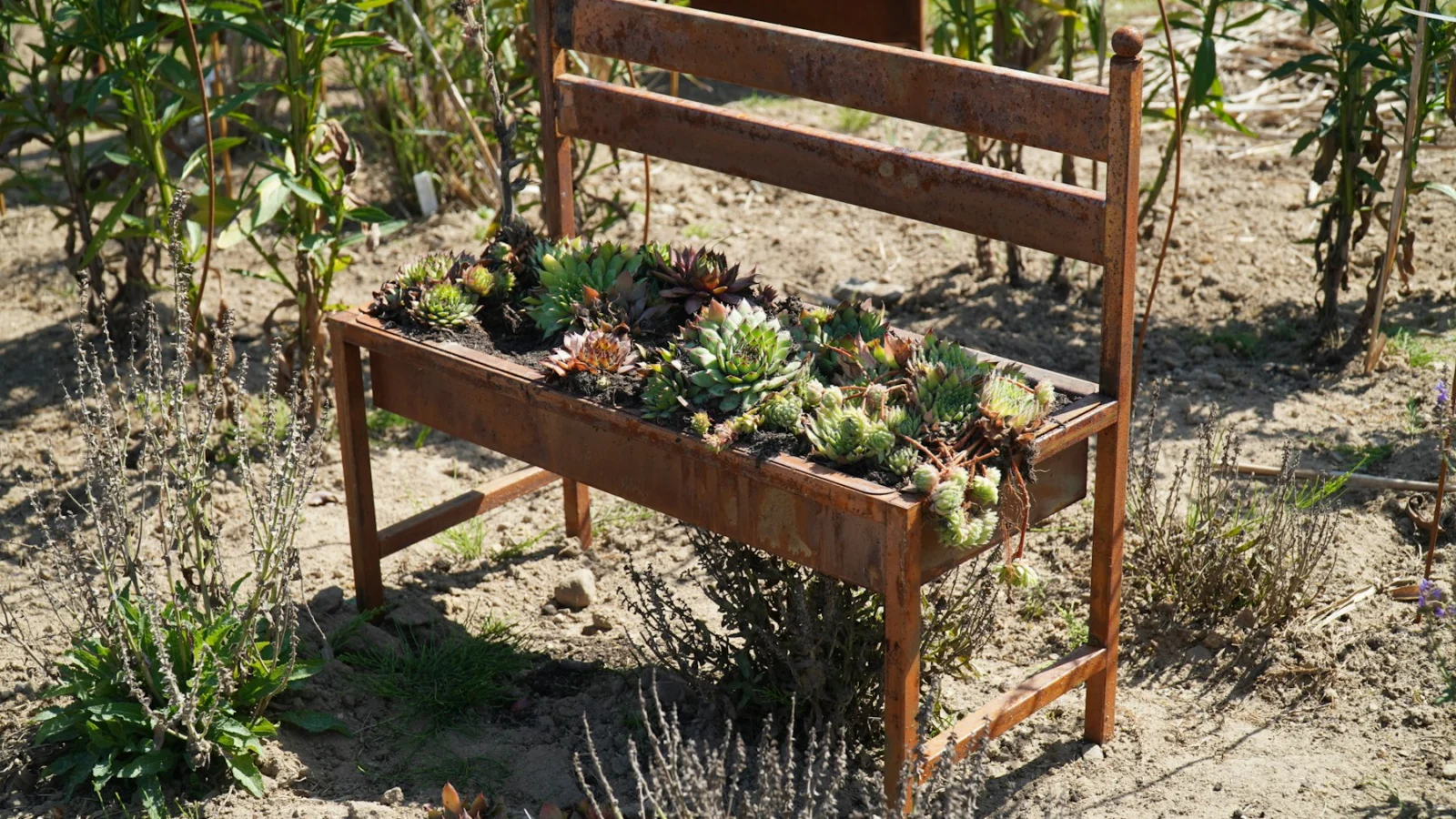 green plant on brown wooden table