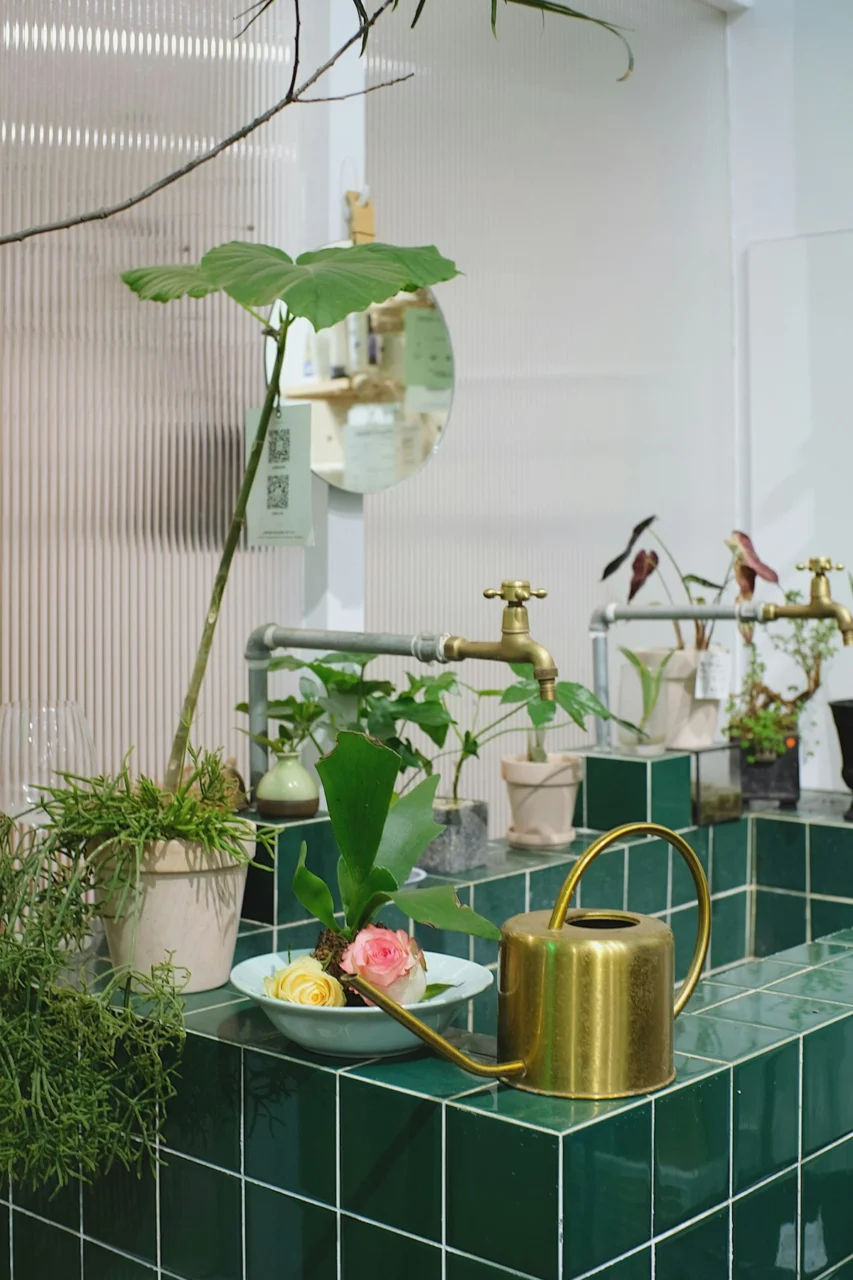 green plant on white ceramic pot