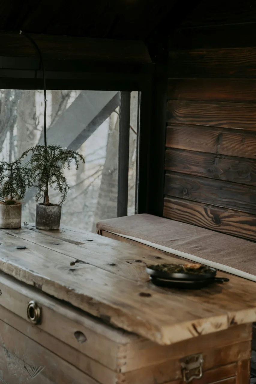 green potted plant on brown wooden table