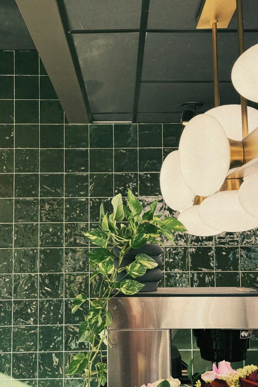 Green tiled wall with a plant and modern light fixture