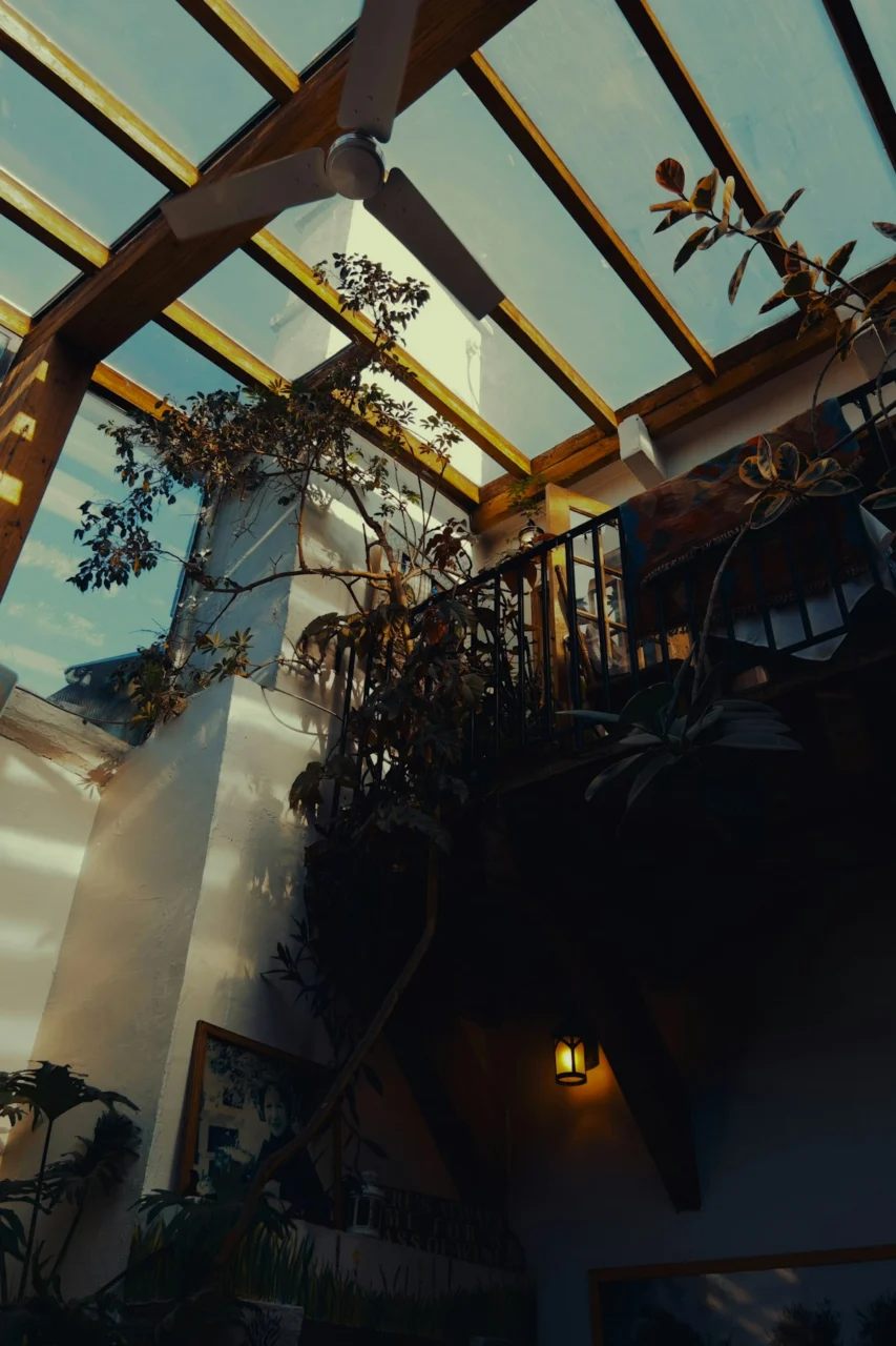 Interior view with plants and glass ceiling