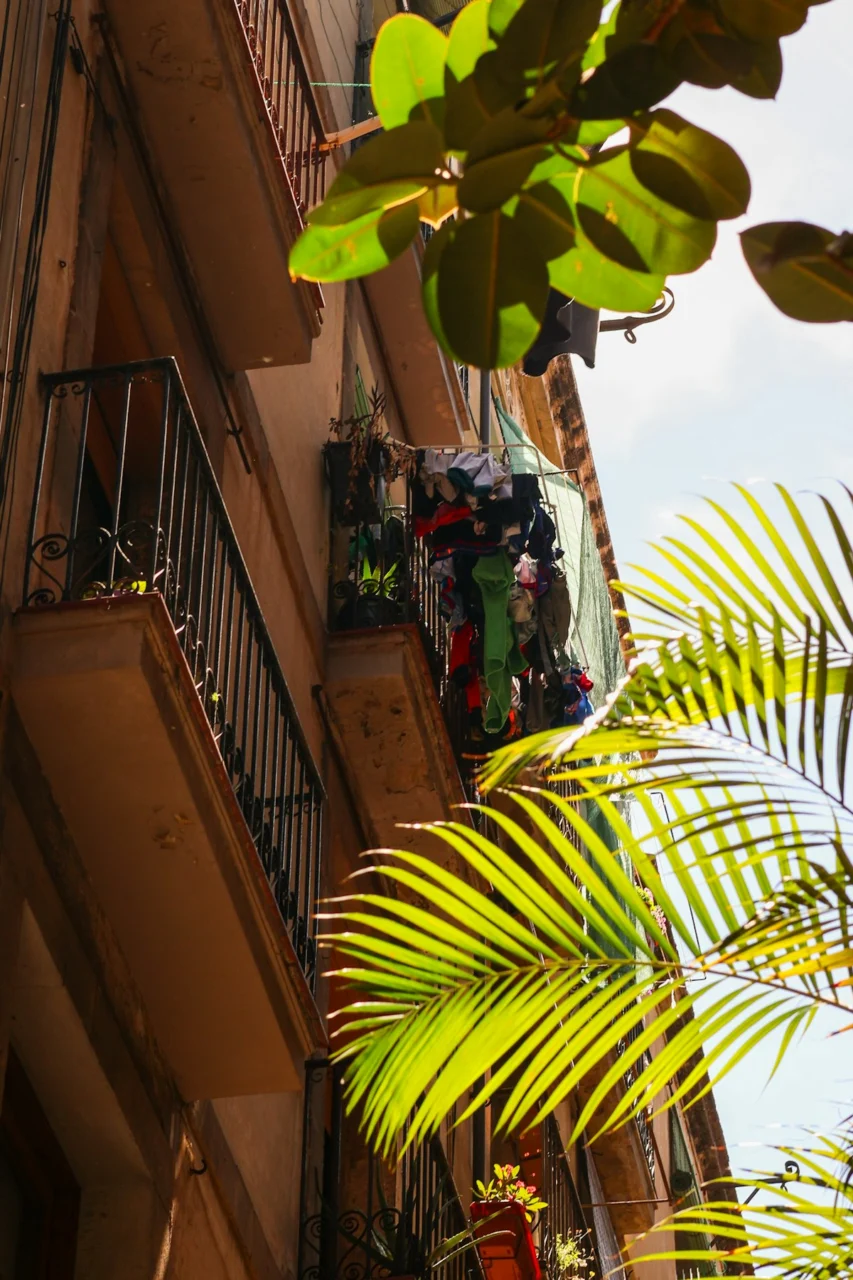 Laundry hanging on a balcony of a sunlit apartment building with palm fronds