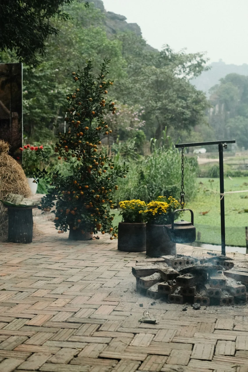 Orchard with blooming flowers and a brick fire pit