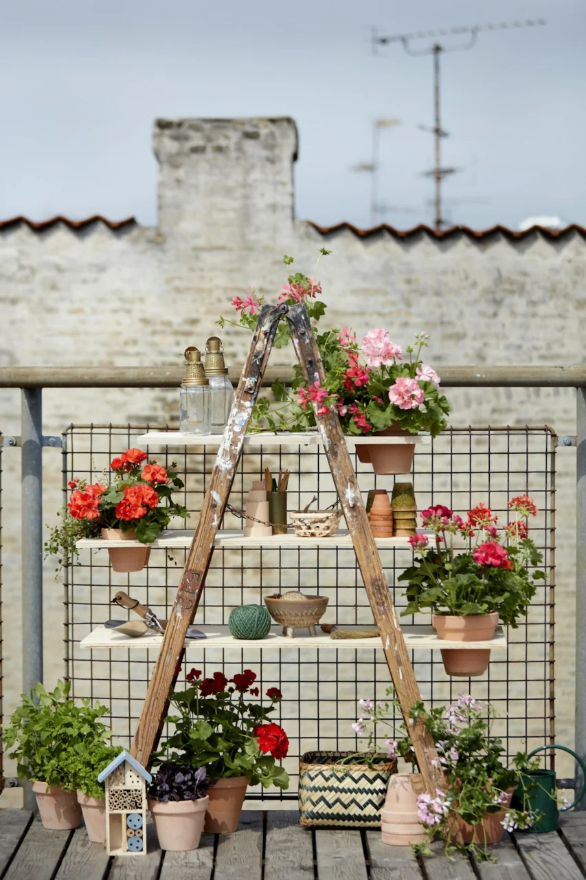 pink and white flowers on brown wooden hanging pot