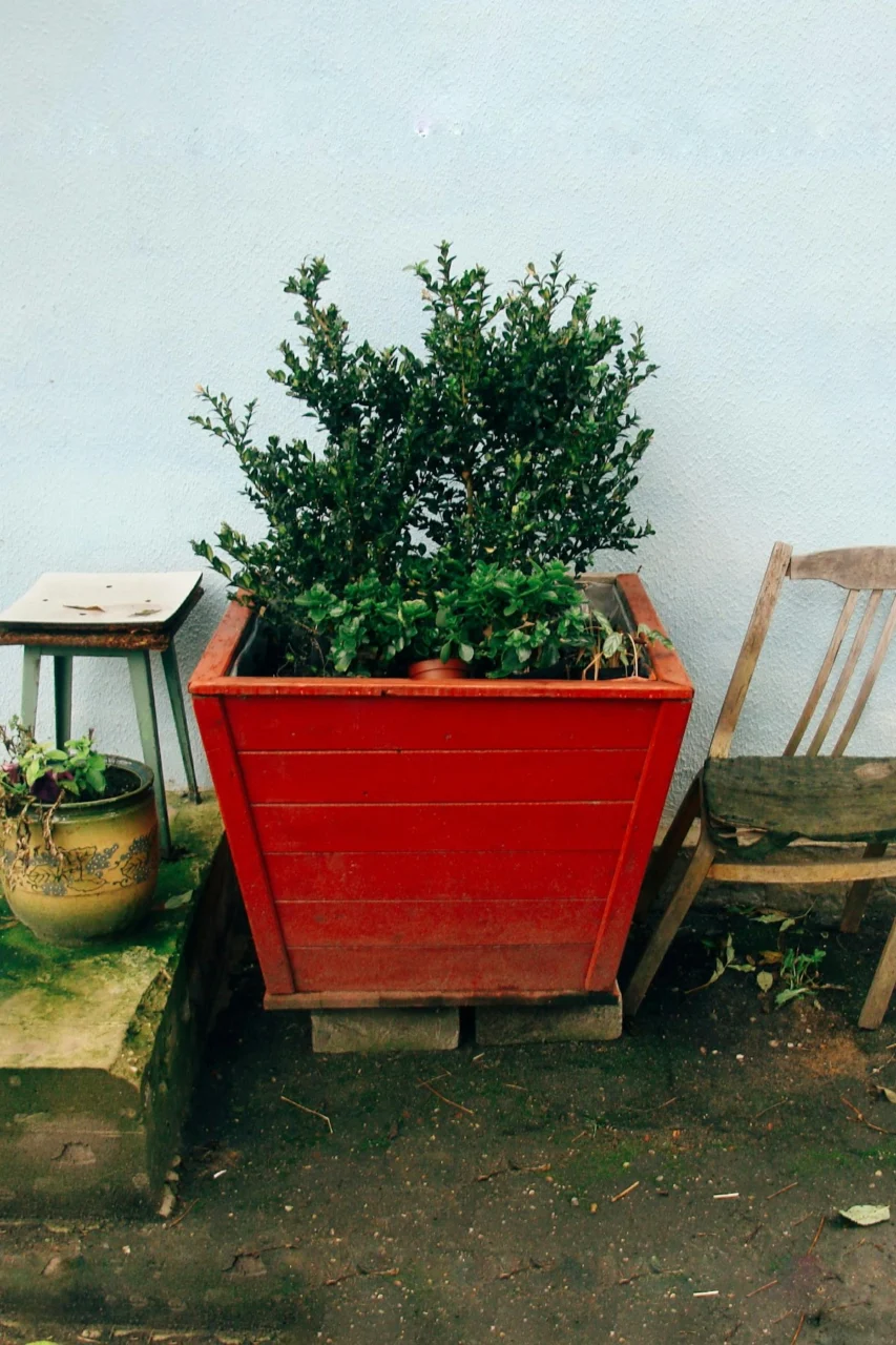 Red planter with green bush and old chair
