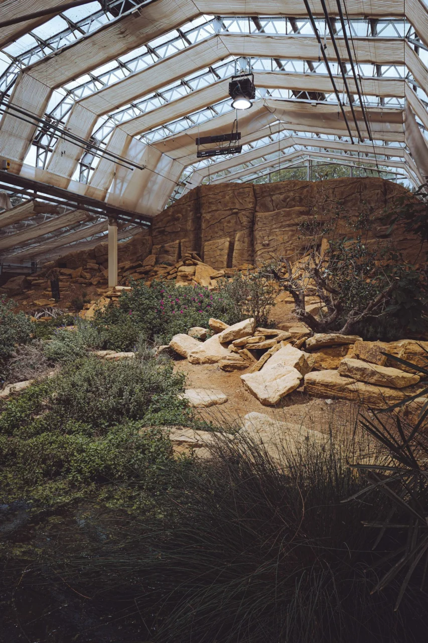 Rocky desert enclosure with sparse vegetation and glass roof