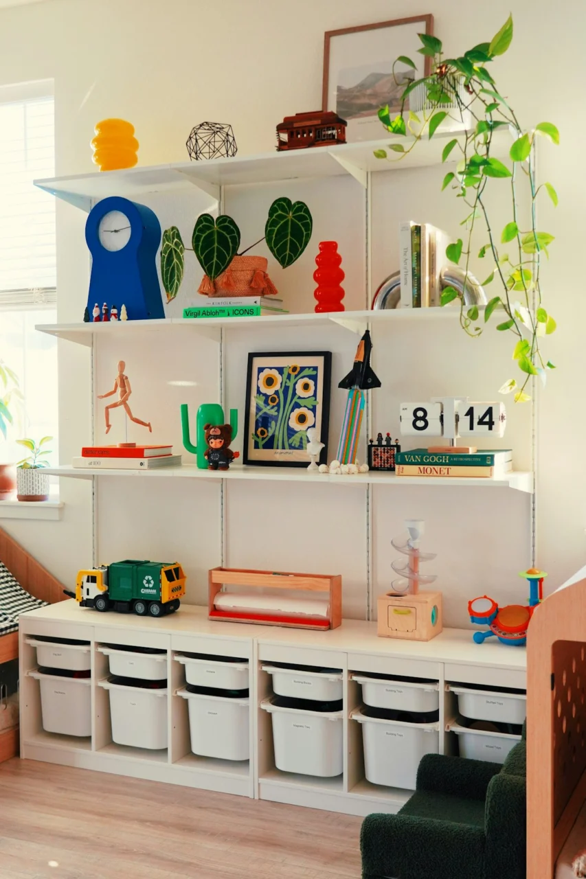 Shelves filled with books, plants, and decorative items