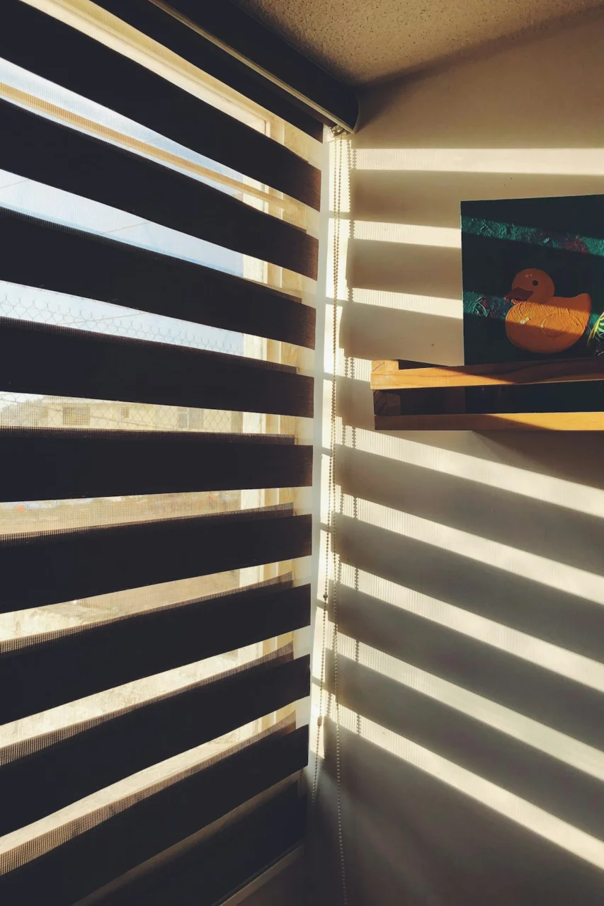 silhoette of brown wooden window blinds