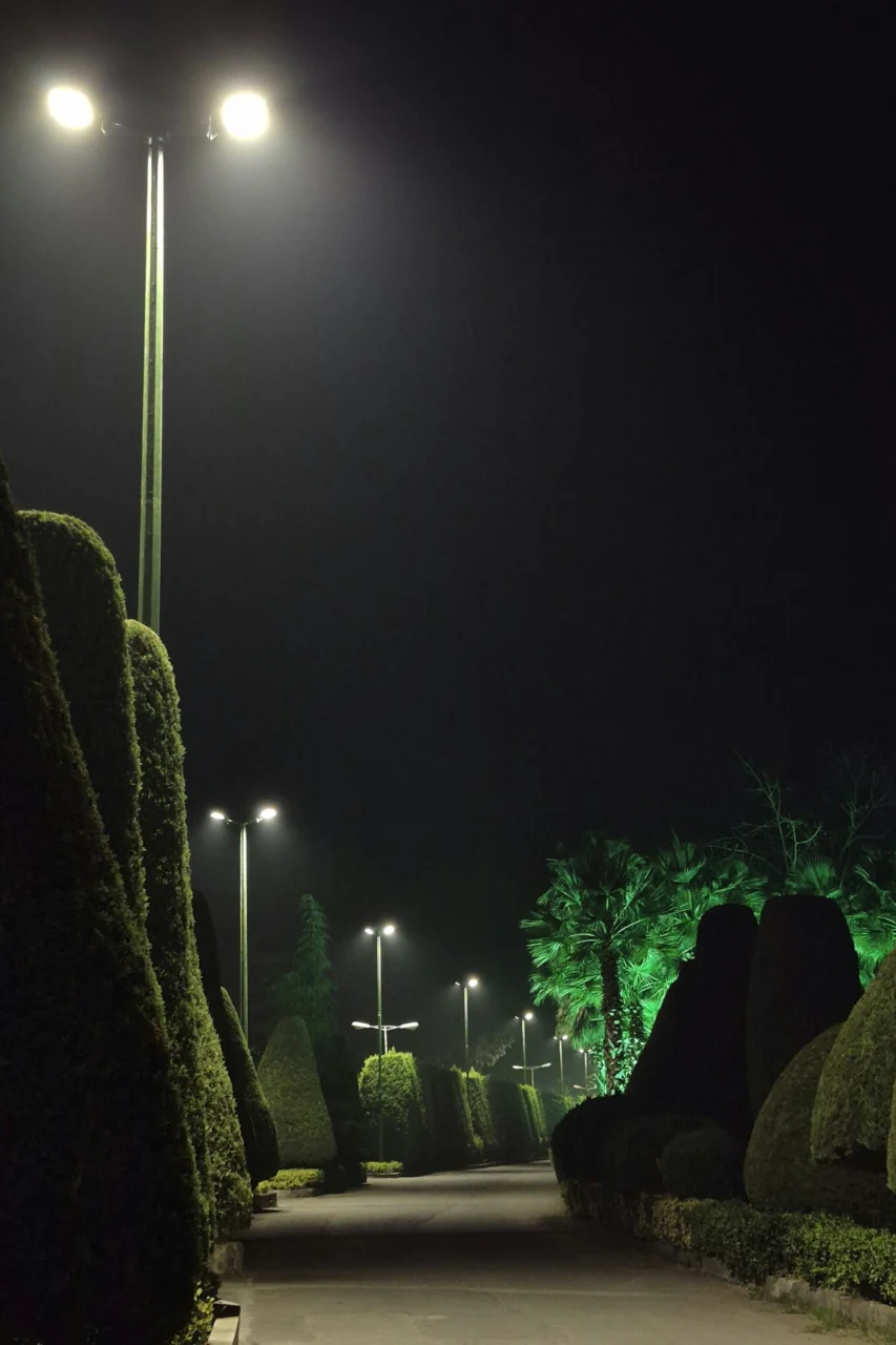 Streetlights illuminate a foggy park path at night