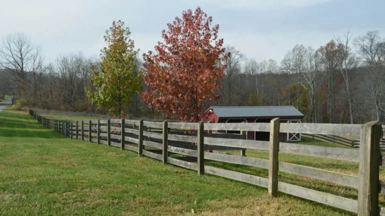 Wooden fence runs through grassy field with trees